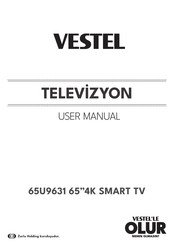 VESTEL 65U9631 User Manual