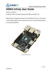 DEBIX Infinity User Manual