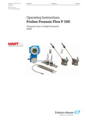 Endress+Hauser Proline Prosonic Flow P 500 Operating Instructions Manual