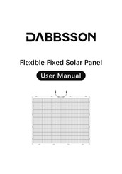 DABBSSON DBS200SF User Manual