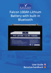Falcon FN-LB100-BT User Manual