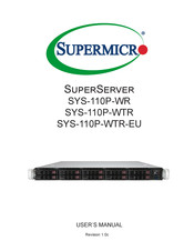 Supermicro SuperServer SYS-110P-WTR User Manual