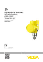Vega VEGAPULS 6X Series Safety Instruction