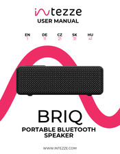 INTEZZE BRIQ User Manual