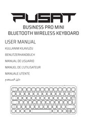 PUSAT BUSINESS PRO MINI User Manual