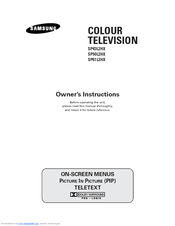 Samsung SP-43L2H Owner's Instructions Manual