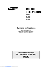 Samsung SP-43T9HER Owner's Instructions Manual