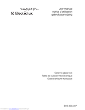 Electrolux EHS 60041 P User Manual