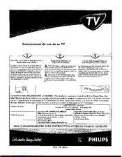 PHILIPS 19-FAUX FLAT COLOR TV 19PS35S Instrucciones De Uso