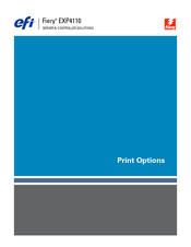 Xerox Fiery EXP4110 Print Options