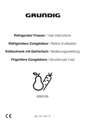 Grundig GEK3100 User Instructions