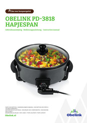Obelink PD-3818 Instruction Manual