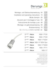 Derungs Dmed Halux N30-1 F Installation And Operating Instructions Manual