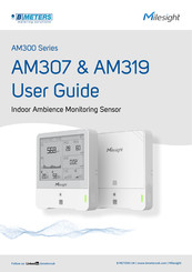 B meters Milesight AM307 User Manual