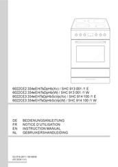 Amica 6022CE2.334eEHiTsDpHb Instruction Manual