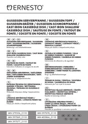 Ernesto 397078-2110 Operation And Safety Notes