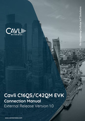 Cavli Wireless C42QM EVK Connection Manual