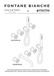Fantini Rubinetti FONTANE BIANCHE P019A Instructions Manual
