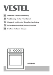 VESTEL CVF5060K4 User Manual