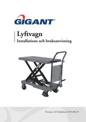 Gigant TF30 Manual
