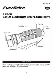 Everbrite Electronics E000077A Manual