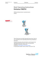 Endress+Hauser Deltabar PMD50 Brief Operating Instructions