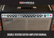 Nembrini Audio DOUBLE REVERB Manual