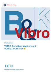 NSK Bruel & Kjaer Vibro VCM-3 Ex Instructions Manual