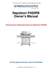 Napoleon P450RB Owner's Manual
