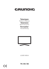 Grundig 43 GEF 6930 A Brief Instruction