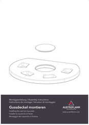 Austroflamm 712129-29 Assembly Instructions Manual