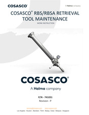 Halma COSASCO RBS Work Instruction