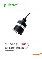 Pulsar Measurement dBi3 Instruction Manual