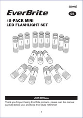 Everbrite Electronics E000007 User Manual
