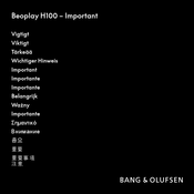 Bang & Olufsen Beoplay H100 Manual