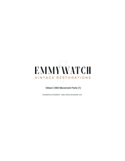 Citizen Wing Man VI Technical Information