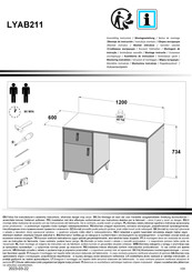 Forte LYAB211 Assembling Instruction