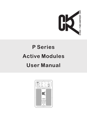 CVR PROFESSIONAL AUDIO P-400 User Manual
