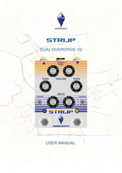 ICEBERG STRIJP User Manual