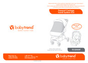BABYTREND Passport Carriage Travel System DLX TS12 F Series Instruction Manual