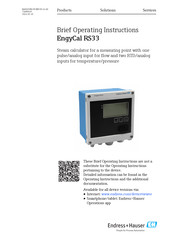 Endress+Hauser EngyCal RS33 Brief Operating Instructions