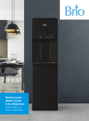 BRIO CLBL320SCIC Setup Manual