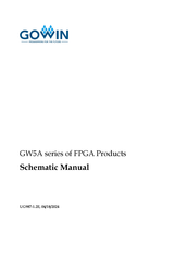 GOWIN GW5A Series Schematics