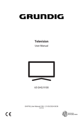 Grundig 65 GHQ 9100 User Manual