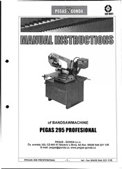 PEGAS-GONDA PEGAS 295 PROFESSIONAL Instruction Manual