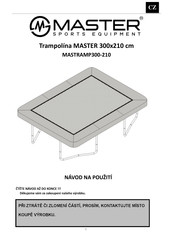 Master MASTRAMP300-210 Owner's Manual