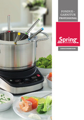 Spring PROFESSIONAL Operating Instructions Manual
