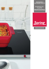 Spring PROFESSIONAL Operating Instructions Manual