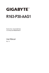 Gigabyte R163-P30-AAG1 User Manual