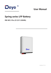 Deye RW-M5.3 Pro User Manual